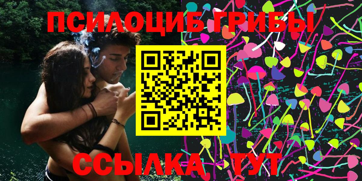 Псилоцибиновые грибы GOLDEN TEACHER  Псилоцибиновые грибы Magic Shrooms  Курганинск  Вход с VPN 