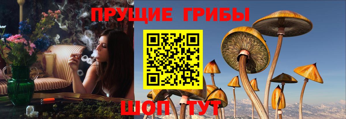 Галлюциногенные грибы прущие грибы Курганинск